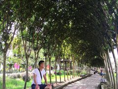 -武汉紫薇都市田园