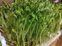 -海底捞火锅(海宁路店)