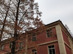 -西北农林科技大学(北校区)