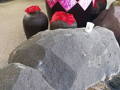 -青岛海泉湾度假区温泉