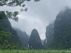 -明仕田园