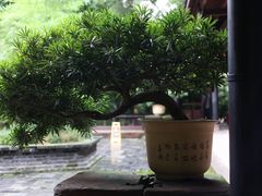 -三苏祠