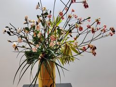 -云溪植物园