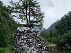 -稻城亚丁景区-冲古草甸