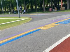 -上海长兴岛郊野公园