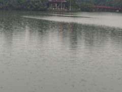-圣约瑟夫大教堂