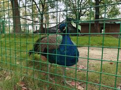 -华东政法大学(松江校区)