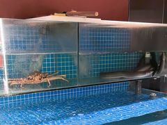 -隐炉和牛烧肉店(群力店)