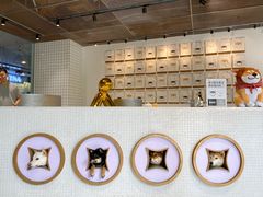 -柴务处·柴犬主题狗咖