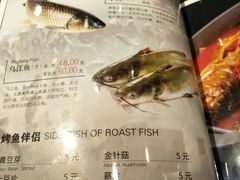 -辣猫龙虾(马泉营店)