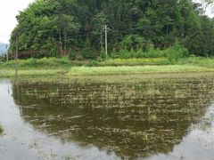 -小格里自然风景区
