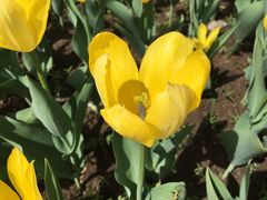 -长春公园(普阳街道)