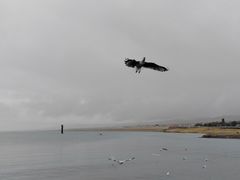 -青海湖二郎剑景区
