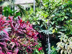 -北京呀路古热带植物园