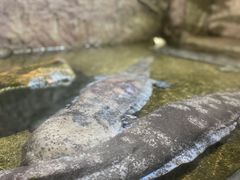 -青青世界