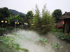 -府河摄影公园