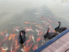 -春晖园度假酒店温泉