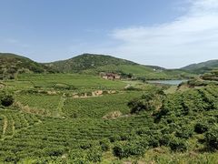 -嵛山岛