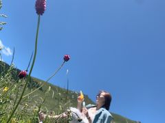 -蔚县茶山村