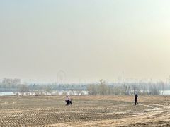 -哈尔滨大剧院