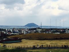 -涉地可支