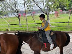 -盈香心动乐园
