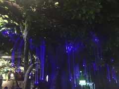 -重庆欢乐海底世界