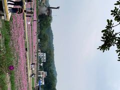 -红山村