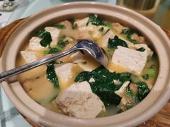 酥肉煨豆腐-眉州东坡(民族园店)