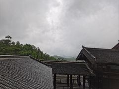 -大唐贡茶院