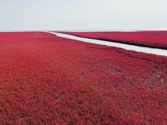 -红海滩国家风景廊道
