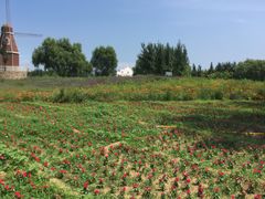 -渔岛海洋度假区