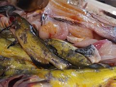 -融泽漁悦三只耳鱼火锅(南郑大道店)