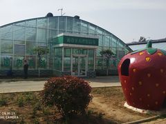 -兰陵国家农业公园