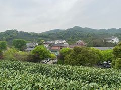 -龙井村
