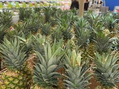 -盒马X会员店(上海森兰商都店)