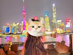 -罗斯福色戒酒吧(外滩店)