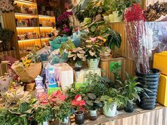 -巴黎春天(陕西路店)