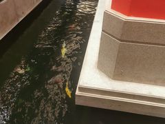 -龙悦湾酒家·八阵鱼生·渔人码头店