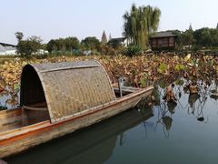 -鹅湖玫瑰文化园