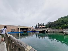 -广东惠东海龟国家级自然保护区