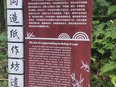 -芦沟竹海