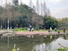 -重庆彩云湖湿地公园