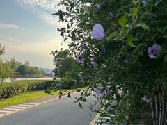 -西安浐灞国家湿地公园