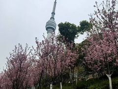 -龟山风景区-龟山电视塔