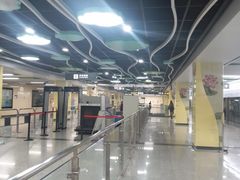 -杨柳河(地铁站)