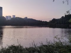 -观山湖公园