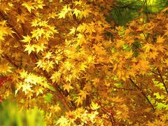 -上海交通大学(闵行校区)