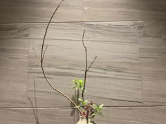 -杭州花家山庄