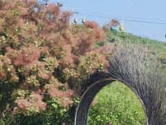 -周口店坡峰岭风景区